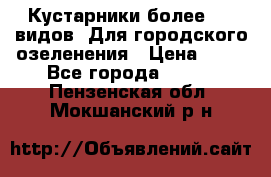 Кустарники более 100 видов. Для городского озеленения › Цена ­ 70 - Все города  »    . Пензенская обл.,Мокшанский р-н